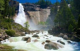 Trees Cliff Waterfall River Stream Wallpaper Photos Pictures