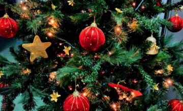 Community Christmas Lunch Impact Volunteering