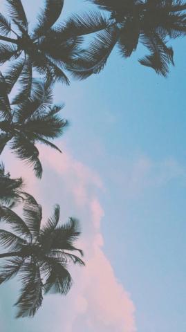 Cute Summer Wallpaper For Mobile Phone Tablet Desktop Computer