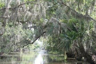 Beautiful Scenery Picture Of Louisiana Tour Company Marrero