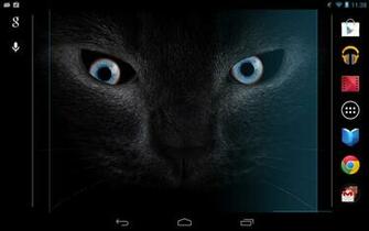 Black Cat Eyes Live Wallpaper Android Apps On Google Play