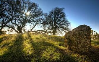 Hill Tree Rock Occult Wicca Wiccan Celtic Pagan Sun Sky Wallpaper