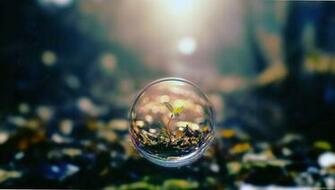 Balloon Flight Plant Full HD Wallpaper Original Size