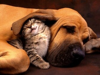 Best Friends Wallpaper