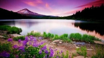 Natural Beautiful Scenes Wallpaper HD