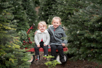 Tree Farm Trinity