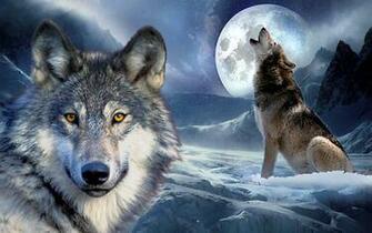 3d Wolf Wallpaper Applications Android Sur Google Play