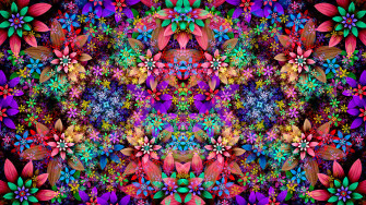Flower Patterns 4k 1440p Resolution HD Wallpaper Image Photos And