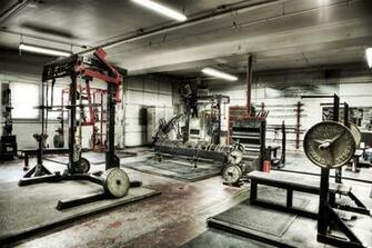 Gold S Gym Venice Wallpaper At Wallpaperbro