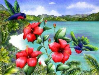 Hummingbirds Red Hibiscus Desktop Pc And Mac Wallpaper