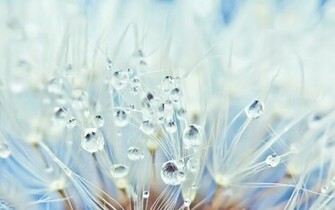 Beautiful Winter Wallpaper HD