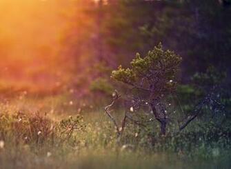 Best Google Nexus 6p HD Wallpaper HDpixels