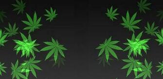 Weed Paper Live Wallpaper Android Apps On Google Play