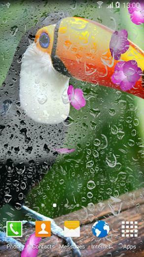 Cute Animals By Live Wallpaper 3d