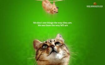 Animal Wallpaper Collection Of Best