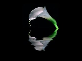 Best Wallpaper Natural Mirror