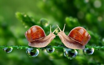 Beautiful 3d Love Wallpaper Funawake