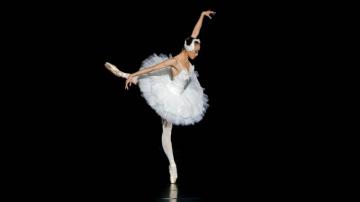 Ballet Wallpaper HD For Your Desktop