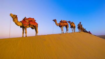 Rajasthan Wallpaper Top Background
