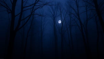 Best Dark Aesthetic Wallpaper