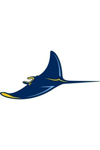 Tampa Bay Rays Wallpaper