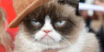 Pics Photos Posts Related Grumpy Cat Pictures Wallpaper