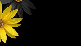 Black And Yellow Lamborghini Wallpaper Widescreen Voko