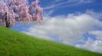 Purple Tree Background Themes
