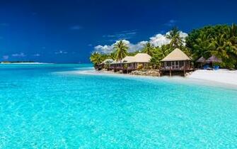 Tropical Beach Wallpaper Quotes With Palm Trees