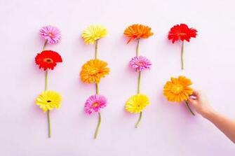 Brand New Desktop And Smartphone Wallpaper For Spring Brit Co