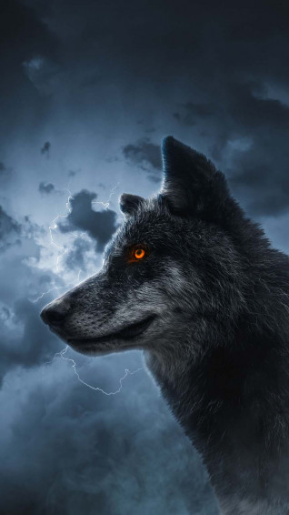 Wolf Wallpaper HD iPhone