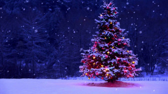 Sleep Into Christmas