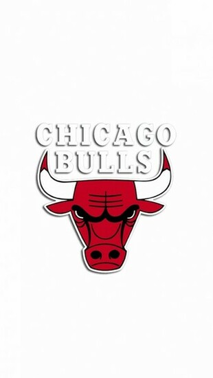 Chicago Bulls