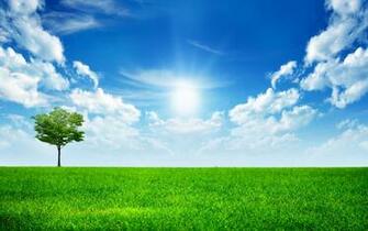 Sunny Bright Day Wallpaper HD