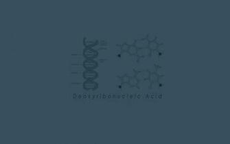 Biology Genetics Wallpaper Dna