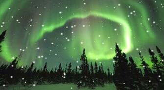 Animated Aurora Borealis Wallpaper On