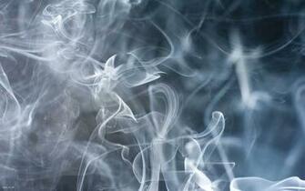 Smokey Wallpaper And Background Image Net