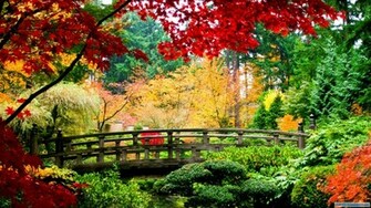 Japanese Garden Wallpaper
