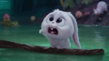 Secret Life Of Pets Snowball Sad Wallpaper Teahub Io