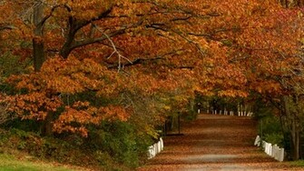 Autumn Scenes Wallpaper