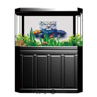 Amazon Aquarium Decoration Background Quirky Decor Little
