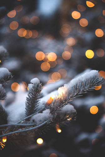 Christmas Lights Illuminate One S iPhone Wallpaper