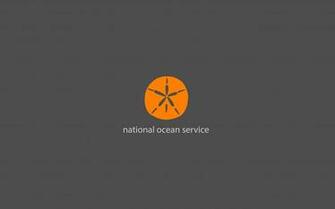 Sand Dollar