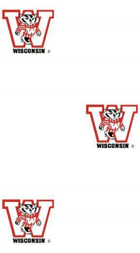 Wisconsin Badgers Logo Wallpaper Double Roll