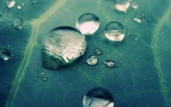 Wallpaper Desktop For