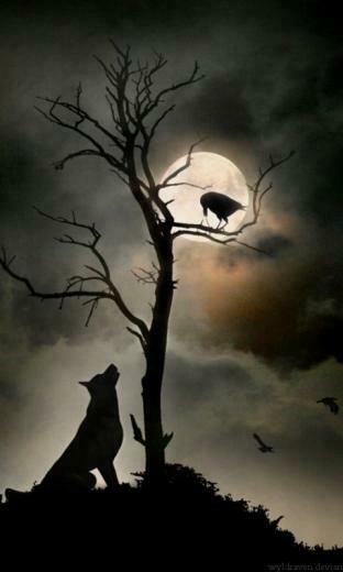 Plus Wallpaper Android Mobile Screensavers