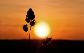 Sunsets Sunrise Landscapes Nature
