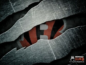 Hello Kitty Bengals Logo Cincinnati With Resolutions