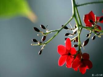 Spot Most Beautiful Wallpaper Html