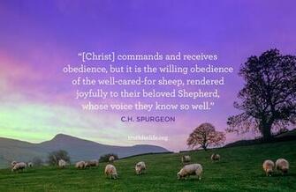 Willing Obedience Wallpaper
